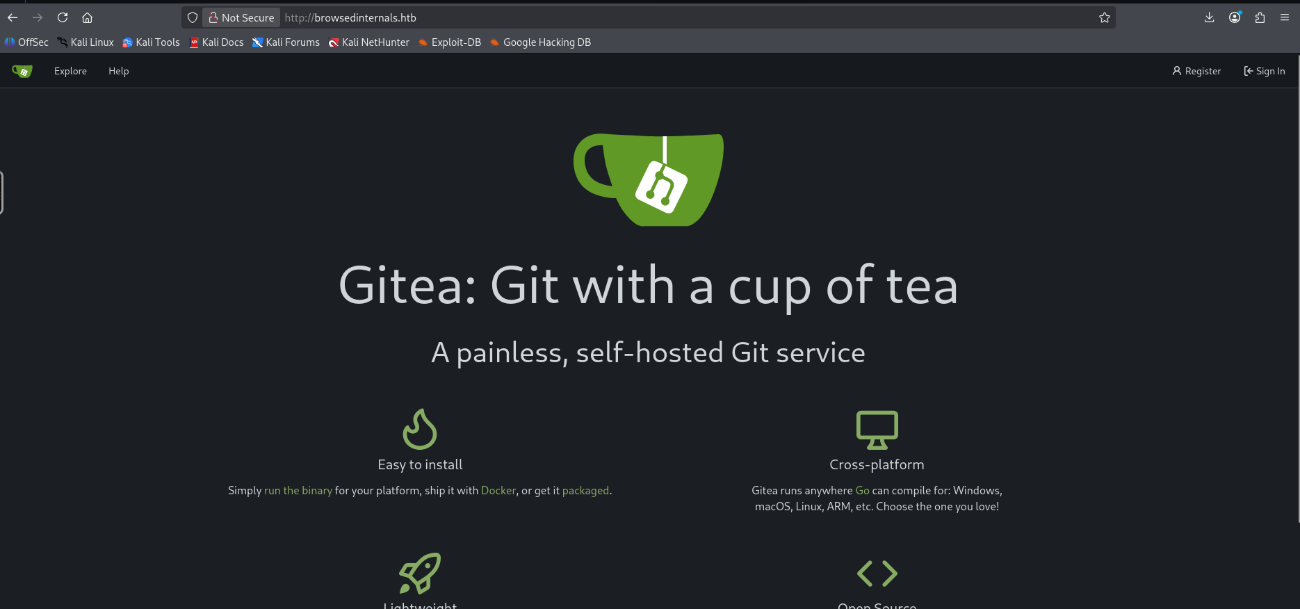 Gitea instance