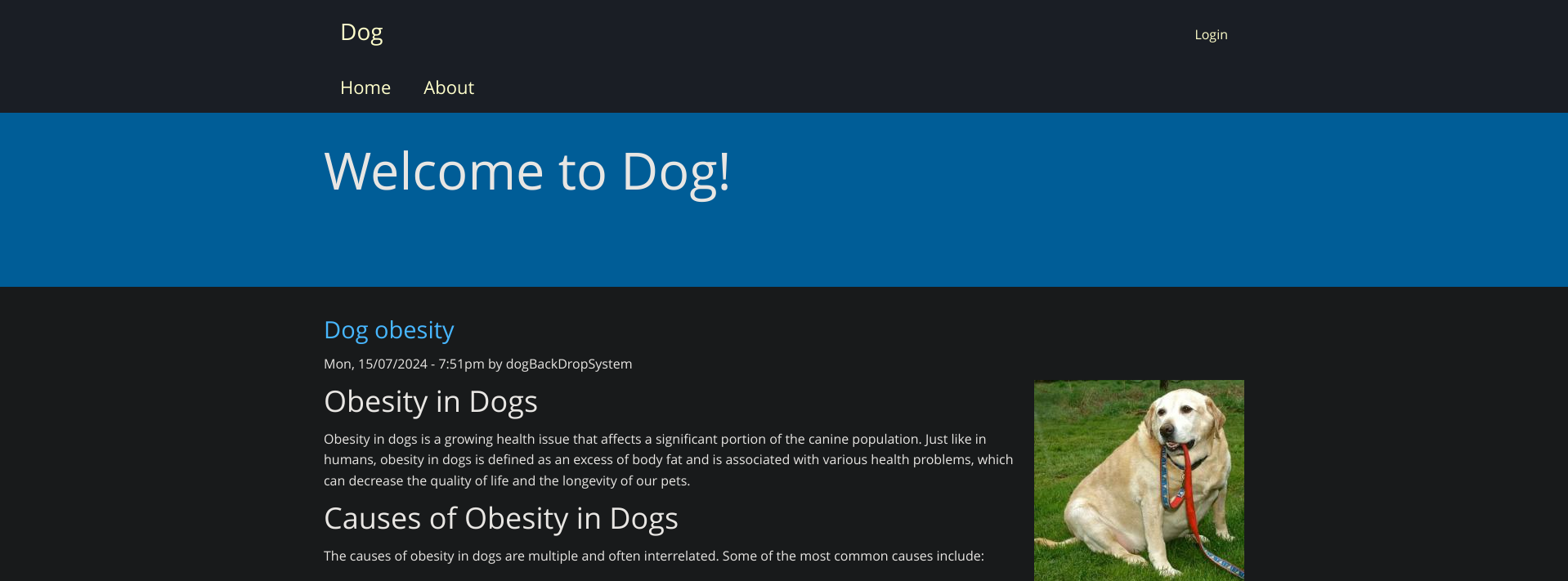 Dog-1741467459266.png
