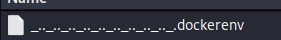 Dockerenv file